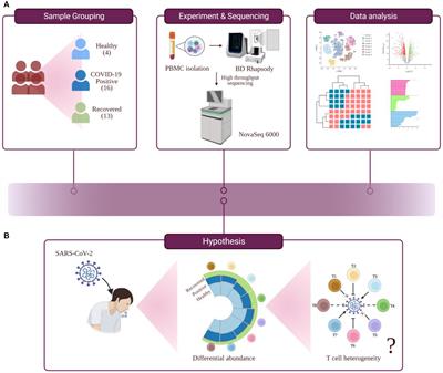 Dysregulated metal ion homeostasis underscores non-canonical function of CD8+ T cell during COVID-19